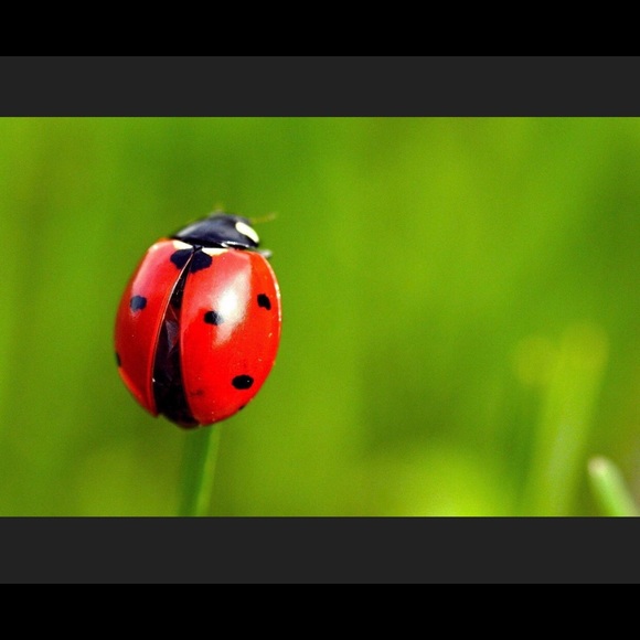 Meet your Posher, Michelle - Picture 1 of 1